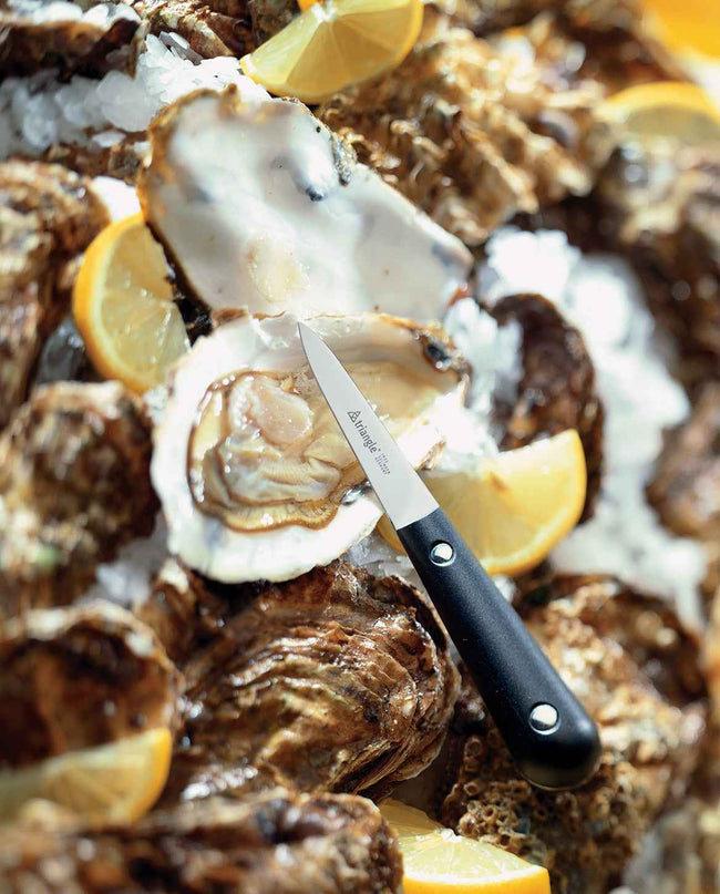 Oysters with lemon slices and oyster knife on ice – perfect for the kitchen